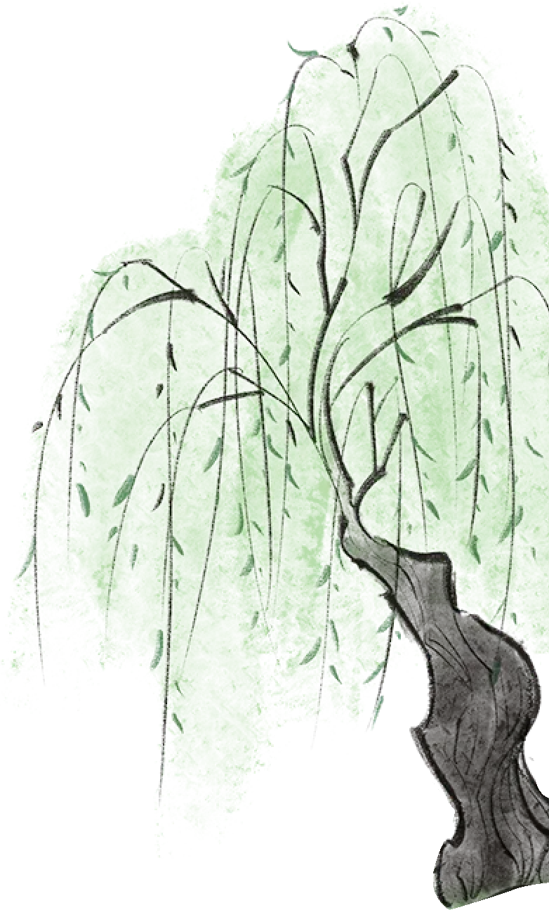 二十四节气 • 清明｜清明思故人，好眠伴朝夕-Asnug Mattress — Refined Sleep from Shanghai