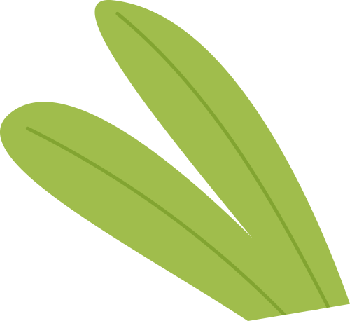 爱舒床垫 ×《温暖的客栈》开启2026治愈系夏天-Asnug Mattress — Refined Sleep from Shanghai