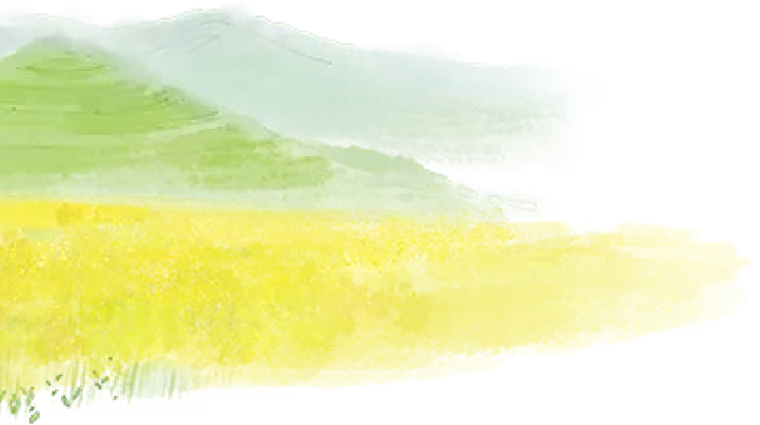 二十四节气 • 清明｜清明思故人，好眠伴朝夕-Asnug Mattress — Refined Sleep from Shanghai