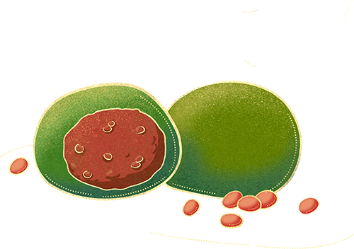 二十四节气 • 清明｜清明思故人，好眠伴朝夕-Asnug Mattress — Refined Sleep from Shanghai