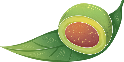 二十四节气 • 清明｜清明思故人，好眠伴朝夕-Asnug Mattress — Refined Sleep from Shanghai