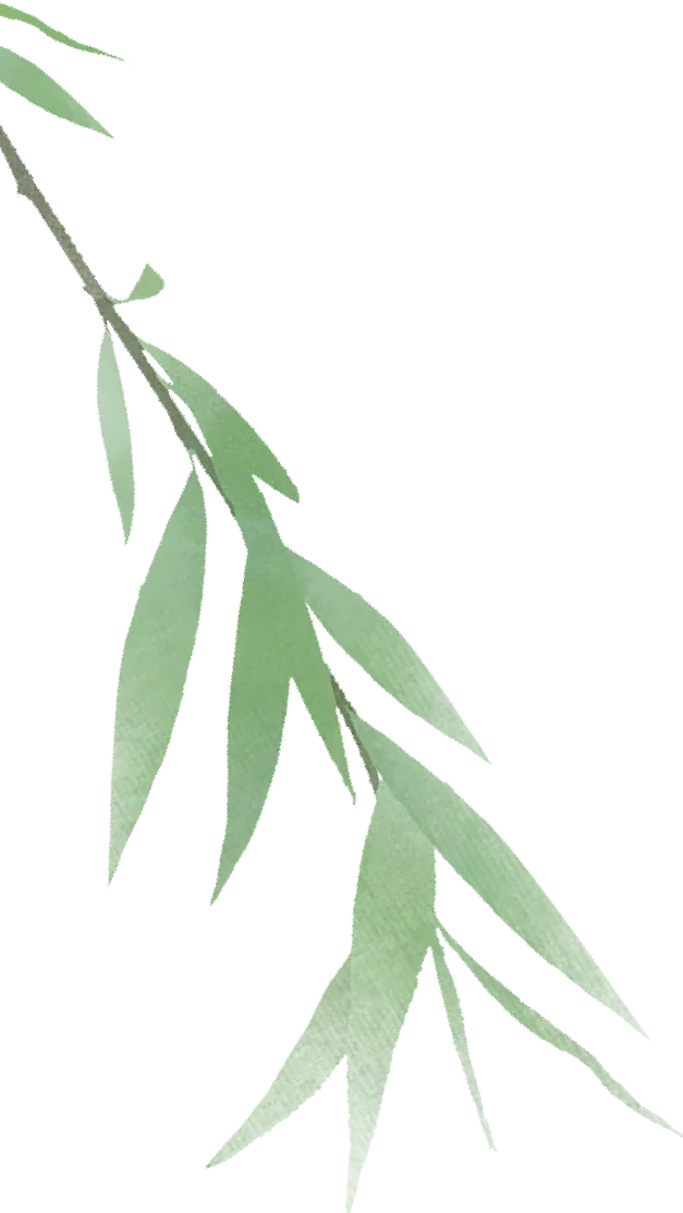 二十四节气 • 清明｜清明思故人，好眠伴朝夕-Asnug Mattress — Refined Sleep from Shanghai