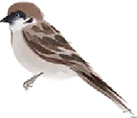 二十四节气 • 清明｜清明思故人，好眠伴朝夕-Asnug Mattress — Refined Sleep from Shanghai